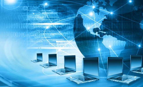 7个热门专业 本科毕业即就业，职场“香饽饽”备受青睐