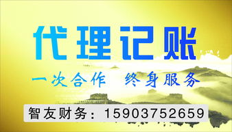 平顶山代理记账与代理代办服务 企业高效运营的得力助手